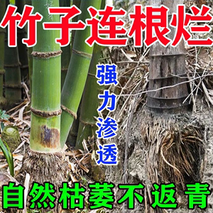 【灭竹子的药】清竹根连根烂强力除灭竹药王荒地杀竹除大树专用药