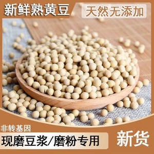炒熟黄豆熟五谷杂粮豆浆专用原料黄豆熟豆干豆炒豆商用