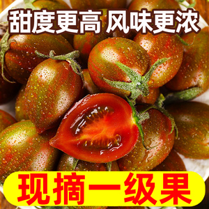 迷彩 小番茄圣女果新鲜小西红柿子非海南千禧铁皮生吃水果蔬菜5斤