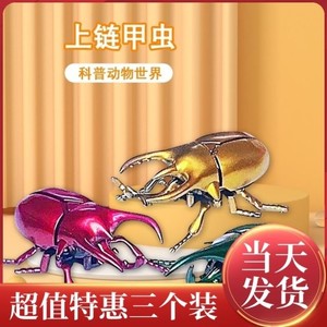 奇怪喵上链甲虫独角仙创意整蛊道具会动的昆虫模型格斗发条玩具