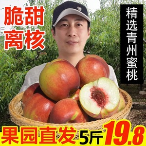 青州蜜桃新鲜5斤脆甜离核冬雪蜜小毛桃水蜜桃子应季水果孕妇儿童