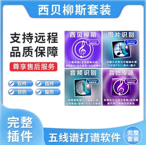 sibelius西贝柳斯打谱软件mac/win中文五线谱钢琴谱简谱 远程安装