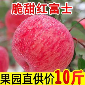 山西脆甜红富士苹果水果新鲜当季水果丑苹果整箱嘎啦现季带10平果