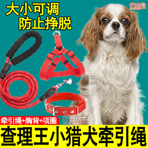 查理王小猎犬专用狗狗牵引绳子项圈胸背心式可调节遛狗绳小型幼犬