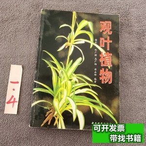 图书旧书观叶植物 谢彩云编着/中原农民出版社/2002