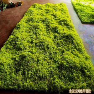 青苔地毯仿真草皮草坪苔藓商场墙贴花墙植物墙盆景盆栽假苔藓橱窗