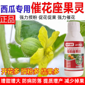 西瓜授粉座果精柑橘草莓李子防落座果灵果树促花催花座果灵叶面肥