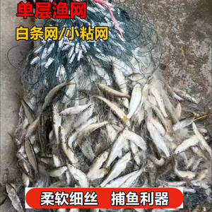 单层渔网粘网白条餐条专用小鱼网丝网沉网浮网捕鱼网沾网6分1指挂