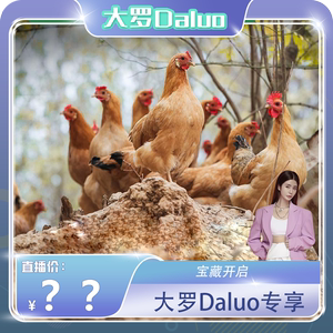 【大罗daluo】老母鸡农家散养走地土鸡皖南正宗野生新鲜现杀整只