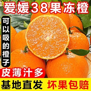 正宗眉山爱媛38号果冻橙现摘手剥橙子当季整箱新鲜水果应季甜橙子