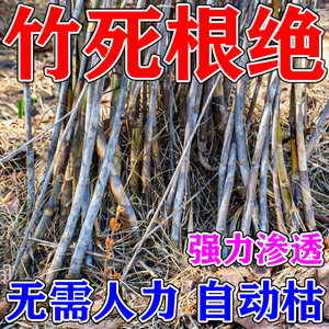 灭竹子的药竹根连根烂强力除竹子烂根药荒地除草烂根剂杂竹净专用
