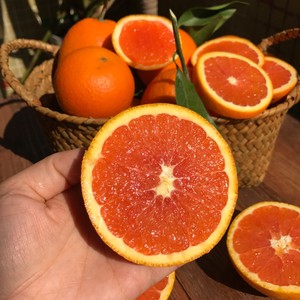 【果客】湖北宜昌·秭归血橙·5/9斤中华红橙新鲜水果榨汁红心橙