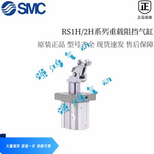 SMC原装阻挡气缸RS2H RS1H RSA50-30DL DM BL BM TL TM-D-C-DC-DS