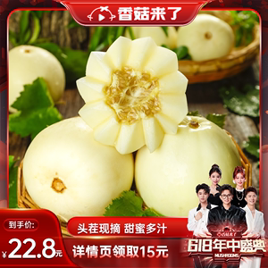 【香菇618】陕西阎良甜瓜5斤新鲜水果白皮时令蜜瓜当季新鲜现摘