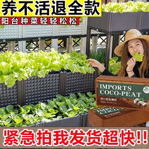 椰砖营养土通用型椰土壤椰糠粗椰壳种花养花种菜清仓种植椰子耶砖