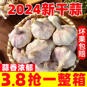 2024新晒大蒜头干蒜5斤农家紫白皮蒜头种子籽批发新鲜蔬菜紫皮蒜3