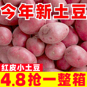 土豆新鲜红皮黄心小土豆9斤包邮云南特产洋芋农家自种蔬菜马铃薯