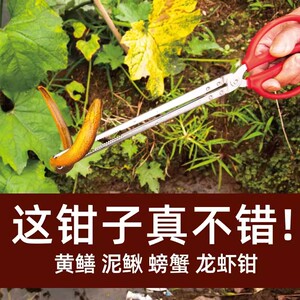 抓蜈蚣夹子捡蜈蚣神器火钳镊子工具野外逮捉黄鳝蛇赶海加厚防滑夹