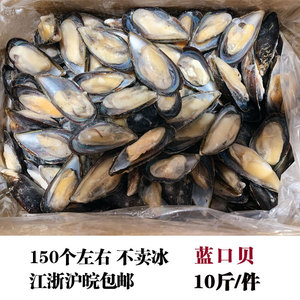 新鲜冷冻蓝口贝10斤大贻贝半壳贝类海虹淡菜海鲜8-10江浙沪皖