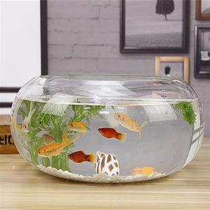 加厚圆形大号鱼缸好看防割手卧室钢化乌龟小型时尚玻璃鱼缸养鱼缸