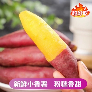 正宗临安天目山小香薯2/3/5斤新鲜板栗红薯沙地农家番薯蜜薯地瓜