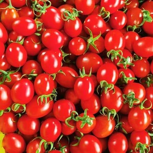 圣女果山东千禧小番茄新鲜樱桃小西红柿孕妇水果现摘现发5斤包邮