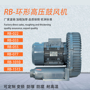 RB-033气体推送增压漩涡气泵 2.2KW真空镀膜设备配套用高压鼓风机