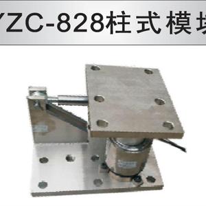 议价正品广测称重传感器YZC-828柱式模块/反应釜罐体秤汽车衡压力
