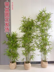 仿生竹子装饰客厅茶室专用新中式假竹子仿真植物盆栽仿真竹子造景