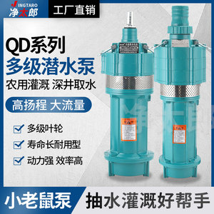 QD多级潜水泵家用220V油浸泵深井泵380V高扬程小老鼠大流量抽水泵
