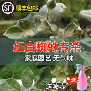 红蜘蛛专用药月季玫瑰花杀螨虫黄蜘蛛白蜘蛛杀虫防虫剂花药病虫害