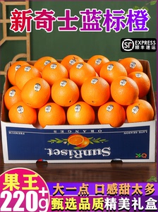 宗正澳洲新奇士黑标橙子3107大脐橙血甜进口品种新鲜水果当季整箱
