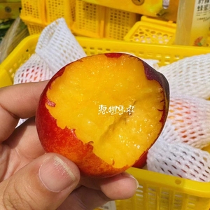 北京闪送 3斤装 新疆空运芒果油桃小桃子好吃 皮很薄桃香味十足，