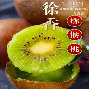 陕西周至徐香猕猴桃当季新鲜5斤水果彩箱产地奇异果