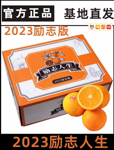 特级XL云南褚橙早橙冰糖橙新鲜水果10斤礼盒装孕妇水果现货包邮