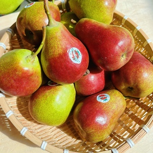 南非彩啤梨5斤 当季新鲜水果 红梨子宝宝梨太婆梨面梨 软硬都好吃