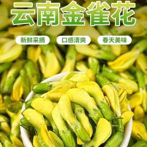 【现货速发】顺丰新鲜金雀花1斤 阳雀花食用鲜花野花当季新鲜蔬菜