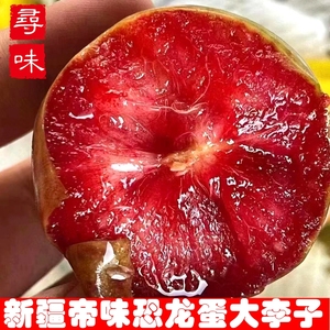 新疆恐龙蛋味帝红肉李子新鲜水果特产红布林脆李孕妇当季热卖顺丰