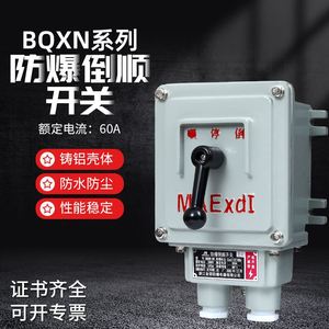 防爆倒顺停开关BQXN-10A BQXN-60A100A30A可逆开关防爆正反转开关