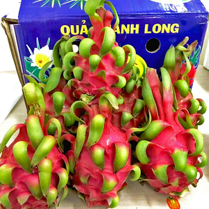 乐果鲜果 越南进口红心火龙果大果当季新鲜水果整箱顺丰