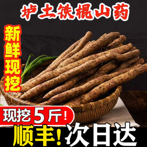 垆土铁棍山药正宗河南焦作温县铁杆淮山怀山药新鲜5斤特级整箱