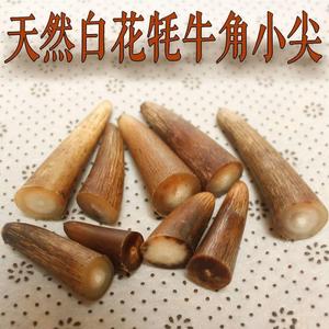 天然白花牦牛角尖原材料小牛角黄牛角挂件料笔杆料珠子手串佛珠料