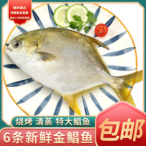 【顺丰送上门】6条金鲳鱼新鲜整条鲳鱼冷冻金昌鱼平鱼海鲜水产2条