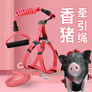 小香猪牵引绳遛宠物猪专用绳子溜绑绳养泰国迷你小香猪的生活用品