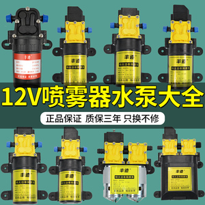 12V农用电动喷雾器水泵隔膜泵智能大功率打药机电机高压自吸泵