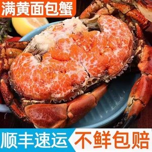 【顺丰速运】熟冻面包蟹超大面包螃蟹即食冷冻海鲜单个600-800g