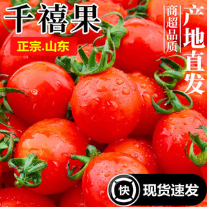 千禧果圣女果小番茄西红柿子新鲜蔬菜非海南水果生吃5斤现摘现发