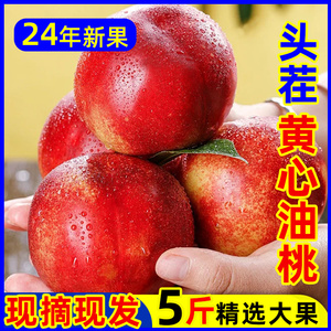黄心油桃5斤大桃子当季新鲜水果应季水密桃整箱包邮孕妇蜜脆桃10