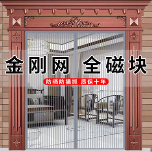 防蚊子纱窗网门帘农村室外外门防蚊门帘商铺房门沙门大门口夏季