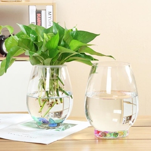 绿萝花瓶水培植物玻璃瓶子花盆玻璃圆球水养鱼缸器皿容器绿植花瓶